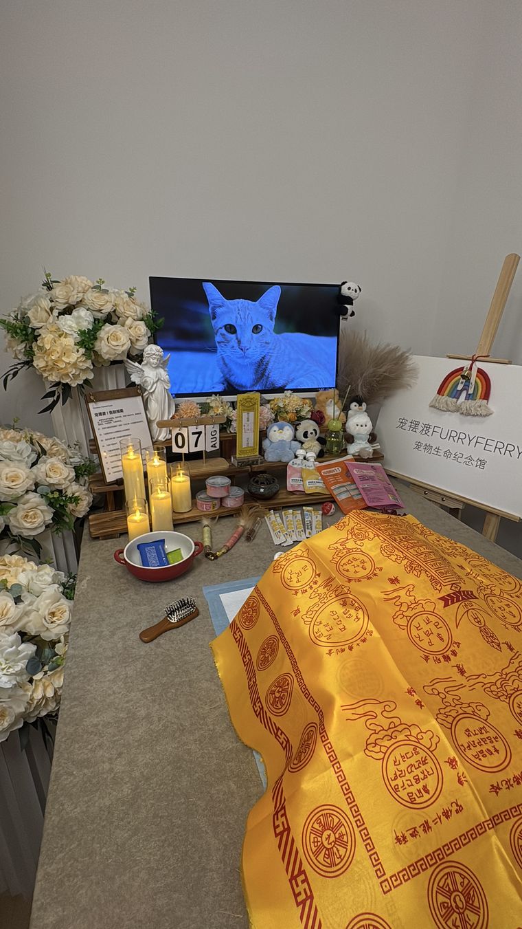 六安宠物殡葬服务全景：一条龙包含哪些环节